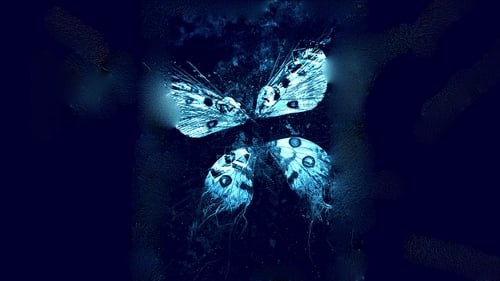 Эффект бабочки 3: Откровения