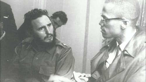 Fidel: La historia no contada