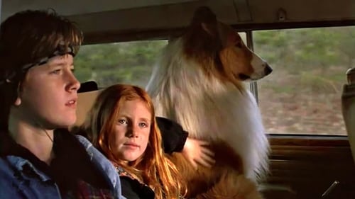 Lassie: Uma Verdadeira Amizade