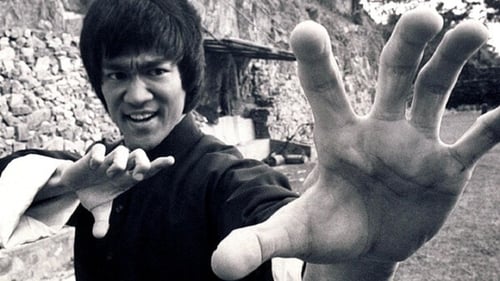 Bruce Lee, trop jeune pour mourir