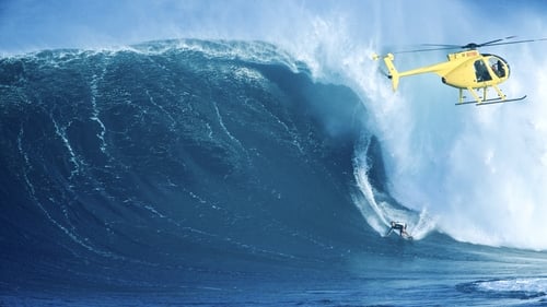 Take Every Wave: The Life of Laird Hamilton