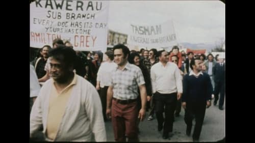 Wildcat: The Struggle for Democracy in the New Zealand Timberworkers' Union