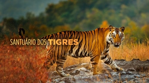 Santuário dos Tigres