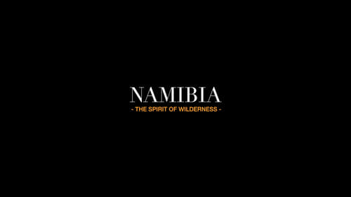 나미비아: 황야의 영혼