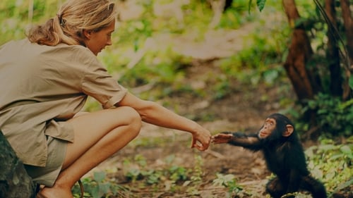 침팬지의 어머니, 제인 구달