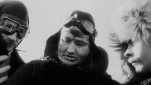Comrade Chkalov Crosses the North Pole