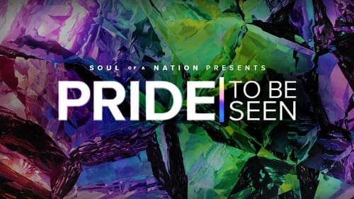 PRIDE: To Be Seen - A Soul of a Nation Presentation