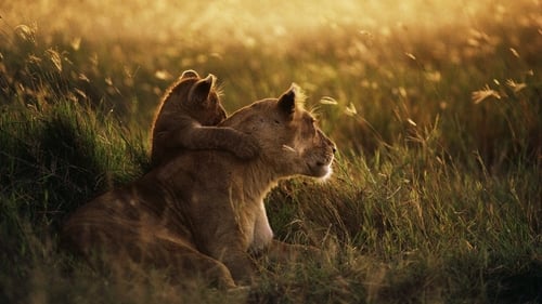 Serengeti - Im Reich der Antilopen