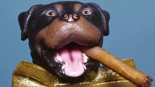 Late Night with Conan O'Brien: The Best of Triumph the Insult Comic Dog