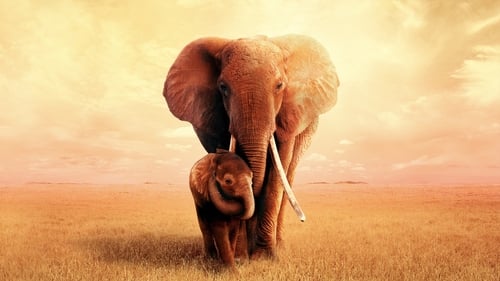 Reina de elefantes