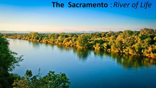 The Sacramento River of Life