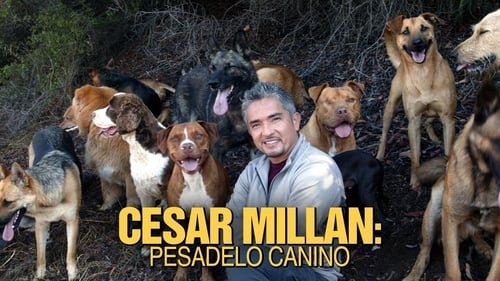 Cesar Millan: Pesadelo Canino