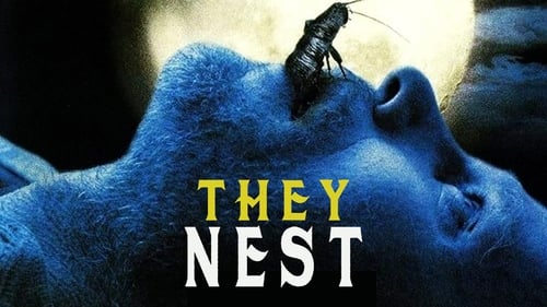 They Nest