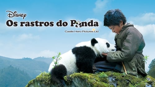 Os Rastros do Panda