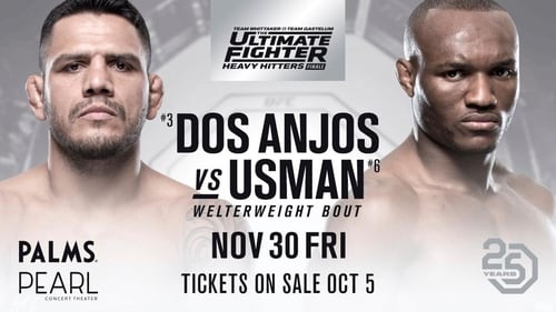 The Ultimate Fighter 28: Heavy Hitters Finale