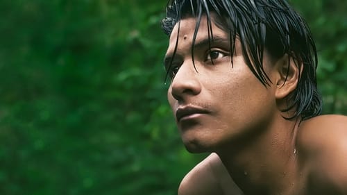 아마존의 수호자